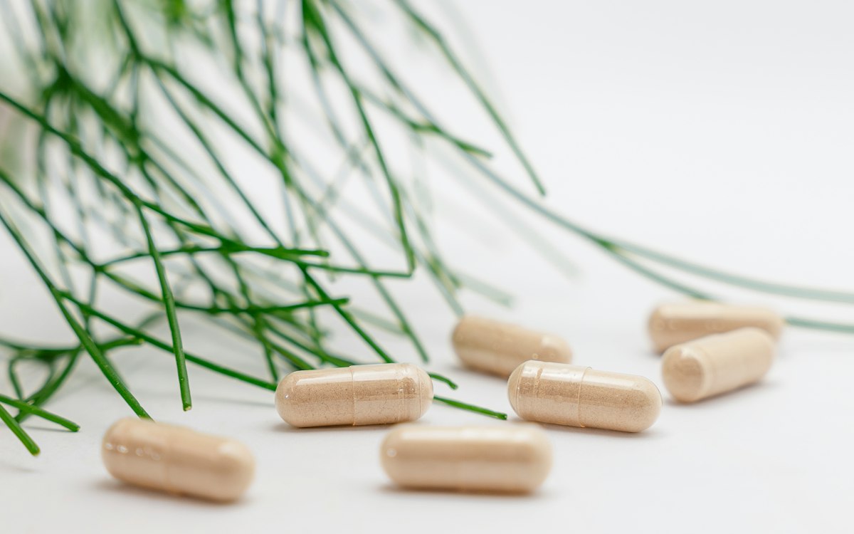 Ashwagandha Pflanze